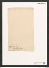 Diatomeae indet. Zeichnungen Sammlung Grunow (NHMW-BOT-W0369785)